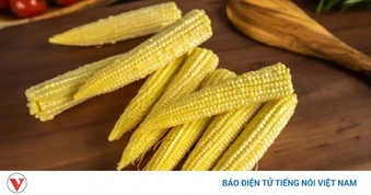 Thường xuyên ăn ngô bao tử, cơ thể nhận được những lợi ích gì?
