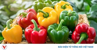 Thường xuyên ăn ớt chuông, cơ thể nhận được lợi ích gì?
