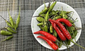 Thường xuyên đi vệ sinh sau khi ngủ dậy cảnh báo bệnh gì? - Báo TinVina