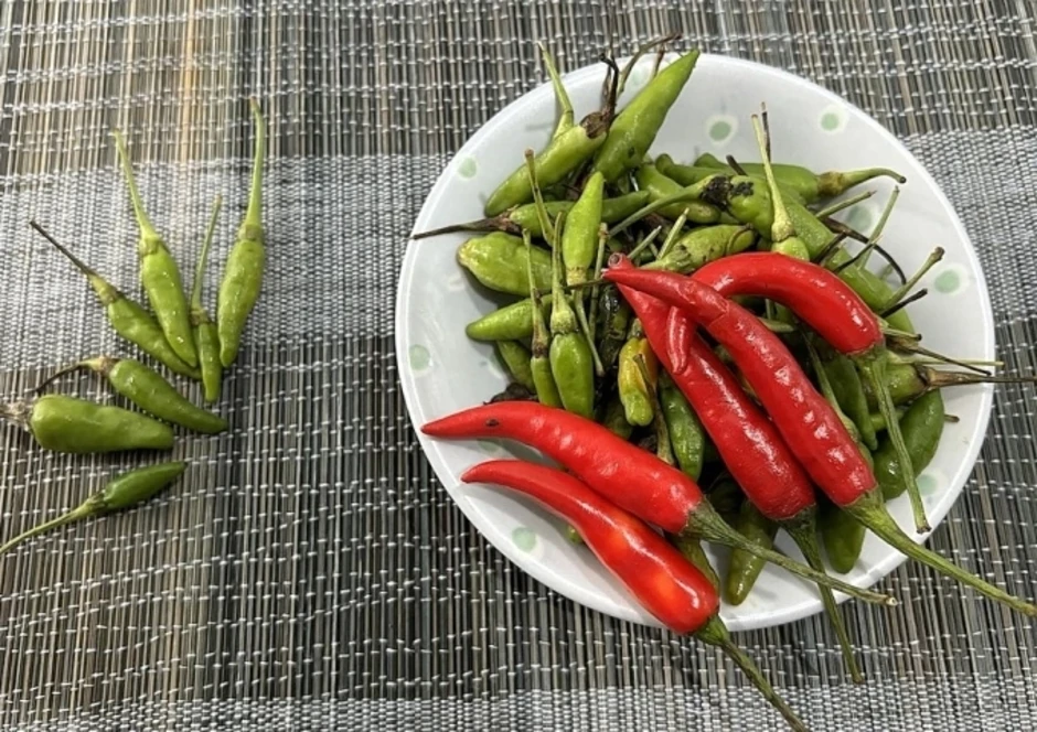 Thường xuyên đi vệ sinh sau khi ngủ dậy cảnh báo bệnh gì? - Báo TinVina Thường xuyên đi vệ sinh sau khi ngủ dậy cảnh báo bệnh gì? - Báo TinVina