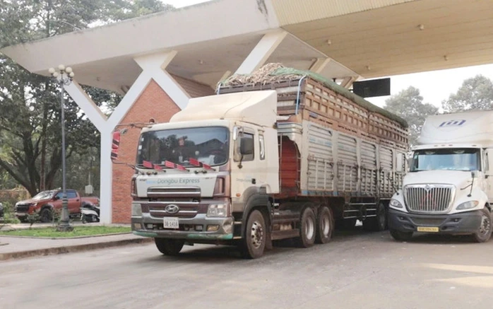 Tiếp tục tạm ngưng hiệu lực Nghị định 46 về an toàn thực phẩm Tiếp tục tạm ngưng hiệu lực Nghị định 46 về an toàn thực phẩm