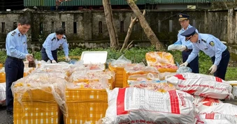 Tiêu hủy hơn 2,6 tấn nội tạng, xương động vật không rõ nguồn gốc