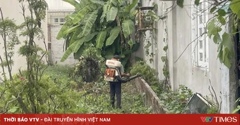 TP Hồ Chí Minh: Khẩn trương xử lý ổ dịch sốt xuất huyết tại phường Tam Long