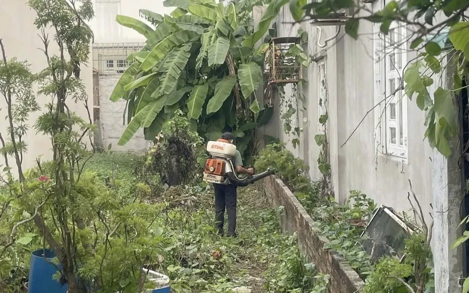TP Hồ Chí Minh: Khẩn trương xử lý ổ dịch sốt xuất huyết tại phường Tam Long TP Hồ Chí Minh: Khẩn trương xử lý ổ dịch sốt xuất huyết tại phường Tam Long