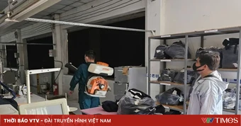 TP Hồ Chí Minh: Số ca mắc tay chân miệng, sốt xuất huyết giảm