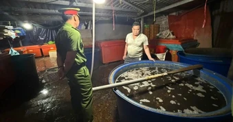 TPHCM yêu cầu xử lý nghiêm việc bao che vi phạm an toàn thực phẩm