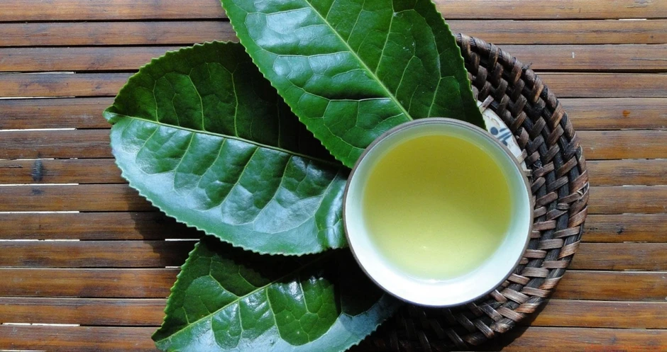 Trà xanh tốt đến mấy uống kiểu này chẳng khác gì tự hại mình lại ít người biết Trà xanh tốt đến mấy uống kiểu này chẳng khác gì tự hại mình lại ít người biết