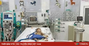 Trẻ nguy kịch vì bị ong đốt khi đi chơi công viên