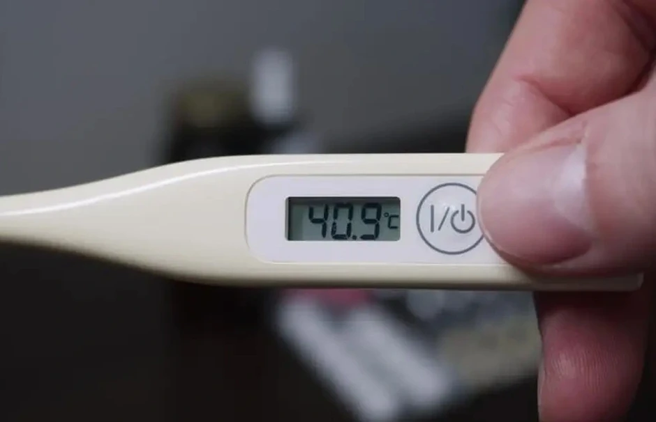 Trẻ sốt cao, khi nào cần nghĩ tới viêm não Nhật Bản? Trẻ sốt cao, khi nào cần nghĩ tới viêm não Nhật Bản?