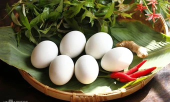 Trứng gà hay trứng vịt bổ dưỡng hơn?