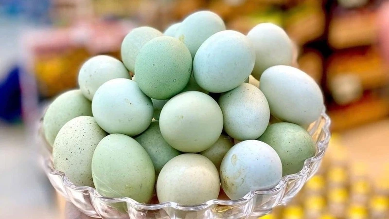 Trứng gà xanh khác gì trứng thường? Sự thật không phải ai cũng biết Trứng gà xanh khác gì trứng thường? Sự thật không phải ai cũng biết