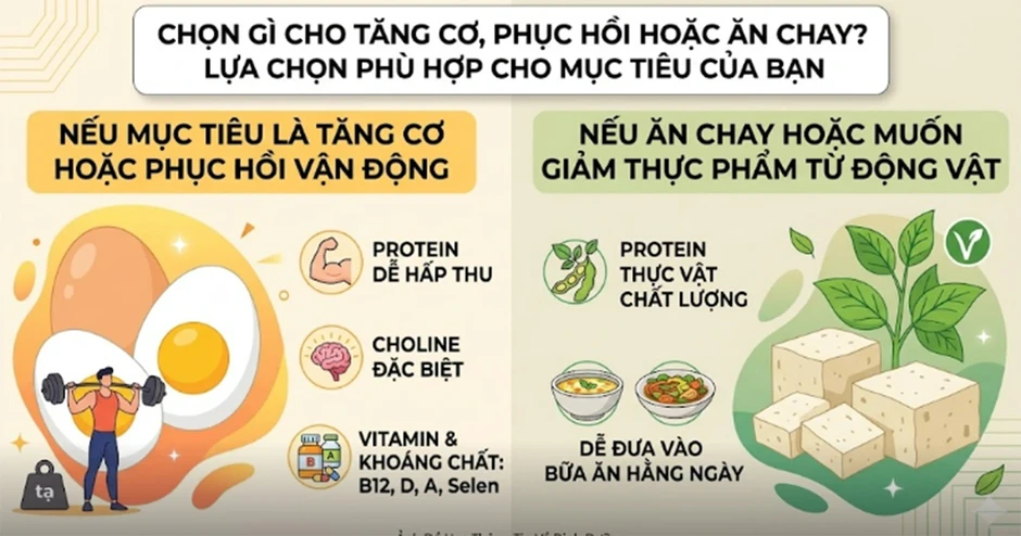 Trứng và đậu hũ: Nguồn protein nào phù hợp với bạn? Trứng và đậu hũ: Nguồn protein nào phù hợp với bạn?