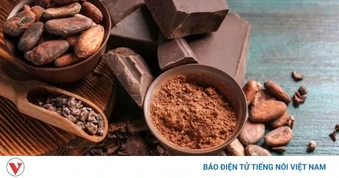 Uống ca cao, ăn socola có gây mất ngủ? Sự thật không phải ai cũng biết