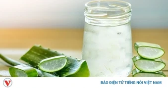 Uống nước cây lô hội có nhiều lợi ích, bạn đã biết?