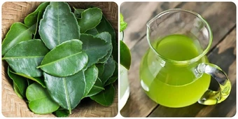Uống nước lá chanh có tác dụng gì?