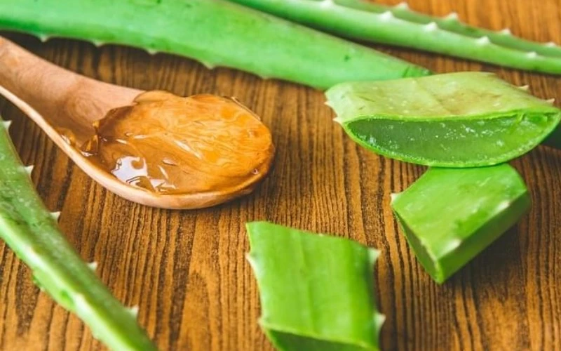 Uống nước nha đam kèm 1 thứ vừa bổ đại tràng, vừa tốt như bôi 1 lớp "kem chống nắng" kiêm "kem nhả nắng tự nhiên" Uống nước nha đam kèm 1 thứ vừa bổ đại tràng, vừa tốt như bôi 1 lớp "kem chống nắng" kiêm "kem nhả nắng tự nhiên"
