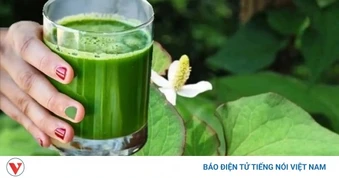 Uống nước rau diếp cá mỗi ngày có tốt?
