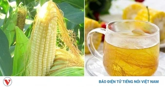 Uống nước râu ngô liên tục cơ thể sẽ thay đổi ra sao?