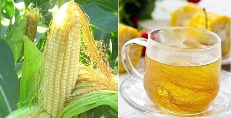 Uống nước râu ngô liên tục cơ thể sẽ thay đổi ra sao? Uống nước râu ngô liên tục cơ thể sẽ thay đổi ra sao?