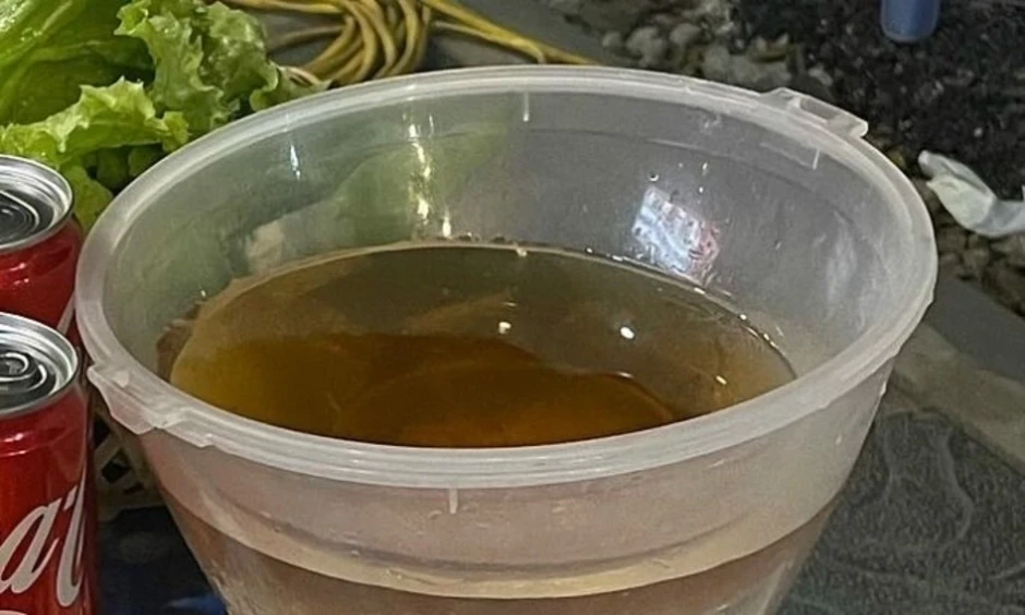 Uống rượu bia buổi tối, đến sáng có hết nồng độ cồn?