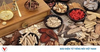 Uống thuốc Bắc có hại thận không? Sự thật ít người biết