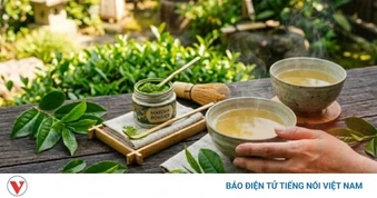 Uống trà xanh mỗi ngày có giúp ngừa ung thư?