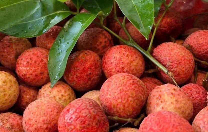 Vải thiều ngọt lịm: Ăn bao nhiêu quả thì đường huyết chạm ngưỡng báo động? Vải thiều ngọt lịm: Ăn bao nhiêu quả thì đường huyết chạm ngưỡng báo động?