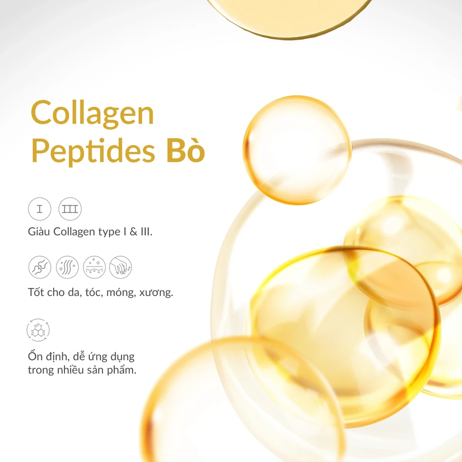 Vẻ đẹp bền vững: Giải mã cơ chế của Collagen peptides và chiết xuất quả Acai Vẻ đẹp bền vững: Giải mã cơ chế của Collagen peptides và chiết xuất quả Acai