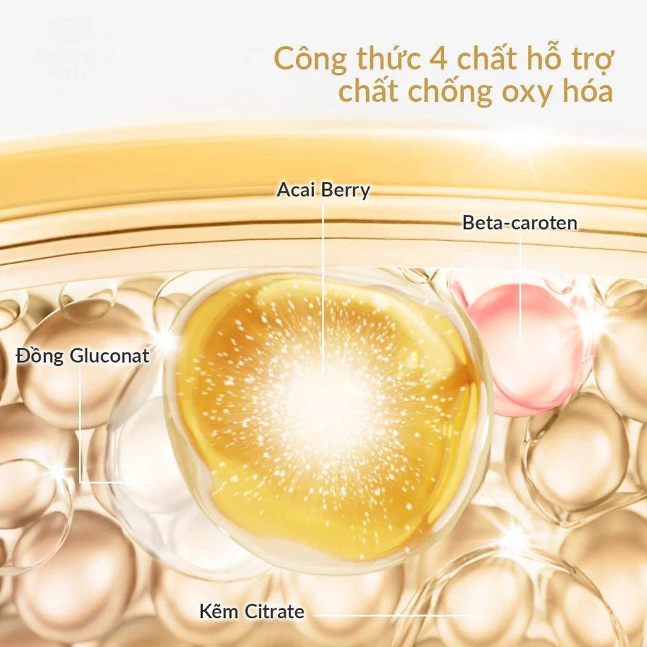 Vẻ đẹp bền vững: Giải mã cơ chế của Collagen peptides và chiết xuất quả Acai Vẻ đẹp bền vững: Giải mã cơ chế của Collagen peptides và chiết xuất quả Acai