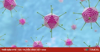Vì sao bệnh do virus Adeno dễ lây lan trong mùa hè?