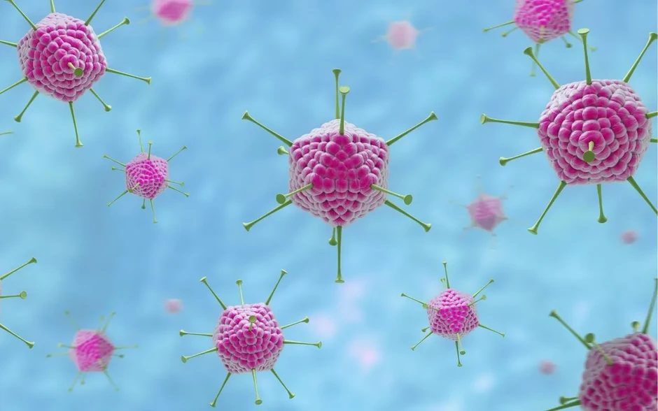 Vì sao bệnh do virus Adeno dễ lây lan trong mùa hè? Vì sao bệnh do virus Adeno dễ lây lan trong mùa hè?