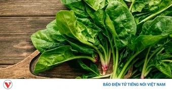 Vì sao cải bó xôi “siêu bổ dưỡng”, chuyên gia vẫn khuyên không nên ăn quá nhiều?