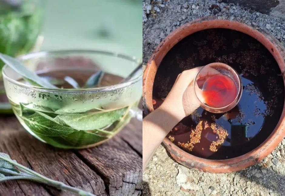 Vì sao nam giới ở "hòn đảo quên chết" nghiện thuốc lá, lười vận động nhưng vẫn thọ tới trăm tuổi?
