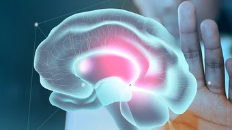 Vì sao rượu bia gây suy giảm trí nhớ? - Báo TinVina