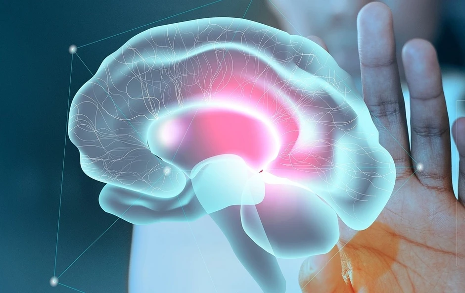 Vì sao rượu bia gây suy giảm trí nhớ? - Báo TinVina Vì sao rượu bia gây suy giảm trí nhớ? - Báo TinVina