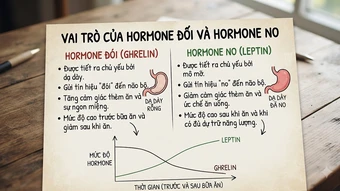 Vì sao thức khuya dễ tăng cân? - Báo TinVina