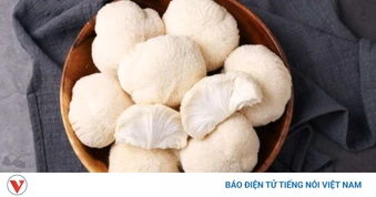 Vị thuốc bề ngoài lạ mắt, ăn vào bổ đủ đường, dễ tìm nhưng ít người biết