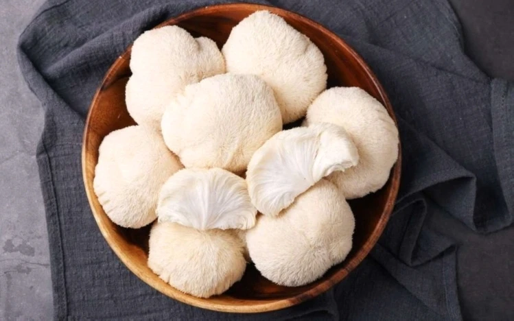 Vị thuốc bề ngoài lạ mắt, ăn vào bổ đủ đường, dễ tìm nhưng ít người biết Vị thuốc bề ngoài lạ mắt, ăn vào bổ đủ đường, dễ tìm nhưng ít người biết