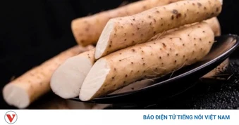 Vị thuốc dân dã tốt chẳng kém nhân sâm, bồi bổ toàn diện lại chống lão hoá