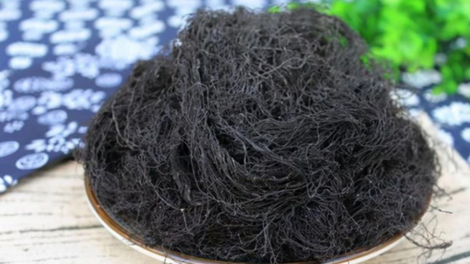 Vị thuốc quý ai nhìn vào cũng sợ, ăn vào lại bổ dưỡng chẳng kém nhân sâm, tổ yến Vị thuốc quý ai nhìn vào cũng sợ, ăn vào lại bổ dưỡng chẳng kém nhân sâm, tổ yến