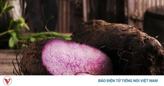 Vị thuốc quý dân gian giá rẻ bèo ở chợ Việt giúp dưỡng tim, ngừa bệnh hiệu quả
