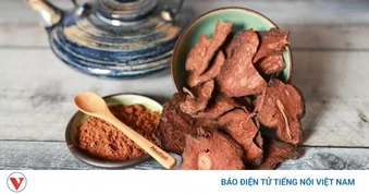 Vị thuốc quý giúp bổ can thận, dưỡng huyết có sẵn ở Việt Nam ít người chú ý