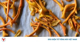 Vị thuốc vừa thơm vừa bổ lại chống lão hoá, nhiều người không biết vẫn hay đổ bỏ