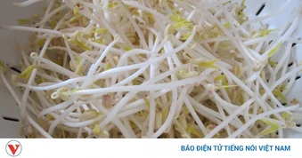 Viêm thanh quản, khàn tiếng: Thử mẹo dân gian từ giá đỗ