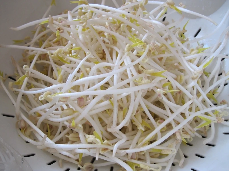 Viêm thanh quản, khàn tiếng: Thử mẹo dân gian từ giá đỗ Viêm thanh quản, khàn tiếng: Thử mẹo dân gian từ giá đỗ