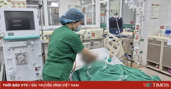 Viên sỏi 3mm khiến bệnh nhân sốc nhiễm khuẩn nguy kịch