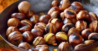 Việt Nam có 1 loại đặc sản chỉ mùa thu đông mới dồi dào: Nhiều người đang ăn sai cách