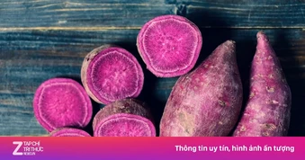 Việt Nam có loại củ được ví 'đỉnh của chóp' giúp dưỡng tim, kháng viêm