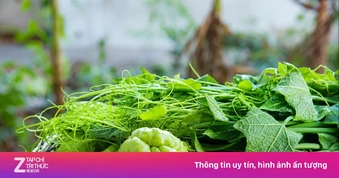 Việt Nam có loại rau dân dã được gọi là 'râu rồng', ăn nhiều cực bổ