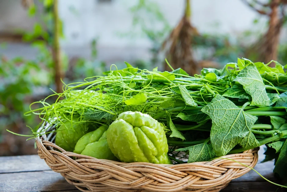 Việt Nam có loại rau dân dã được gọi là 'râu rồng', ăn nhiều cực bổ Việt Nam có loại rau dân dã được gọi là 'râu rồng', ăn nhiều cực bổ